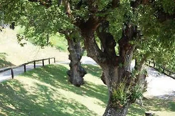 Camping Morunys Villa Sant Llorenc de Morunys 0*,